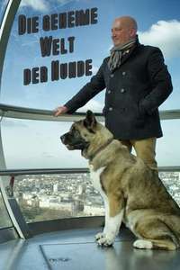 The Secret Life of Dogs - Series 2 - Posters