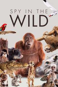 Spy in the Wild - Posters