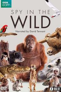 Spy in the Wild - Posters