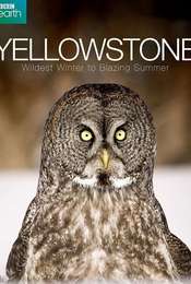 Yellowstone: Wildest Winter to Blazing Summer