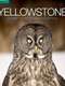Yellowstone: Wildest Winter to Blazing Summer