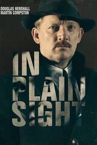 In Plain Sight - Poster