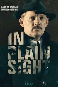 In Plain Sight - Poster