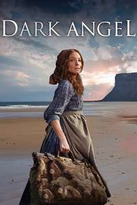 Dark Angel - Posters