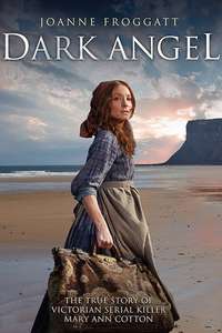 Dark Angel - Posters