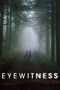Eyewitness - Posters
