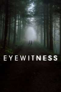 Eyewitness - Posters
