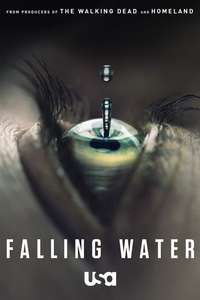 Falling Water - Poster