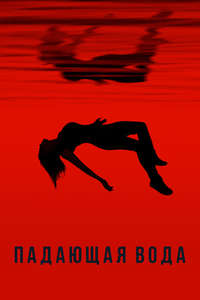 Falling Water - Poster