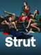 Strut