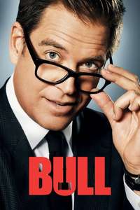 Bull - Posters