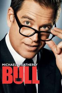 Bull - Posters