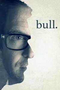 Bull - Posters