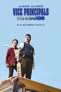 Vice Principals - Posters