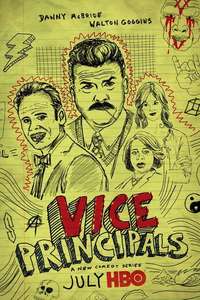 Vice Principals - Posters