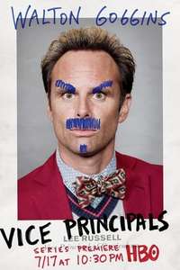 Vice Principals - Posters