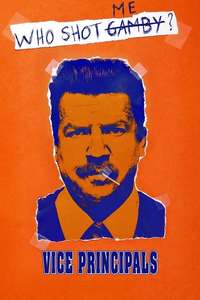 Vice Principals - Posters