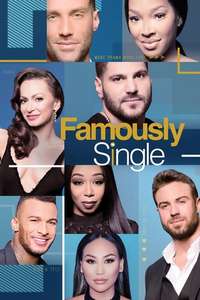 Famously Single - Poster