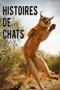 ​The Story of Cats - Posters