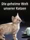 ​The Story of Cats