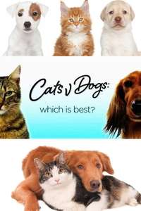 Cats v Dogs: Which is Best? - Poster
