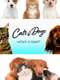 Cats v Dogs: Which is Best?