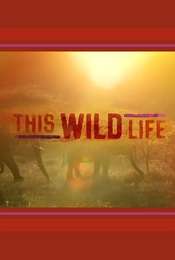 This Wild Life