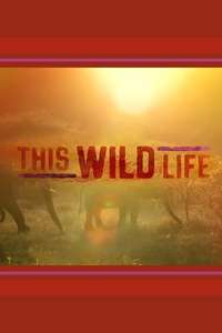 This Wild Life - Poster