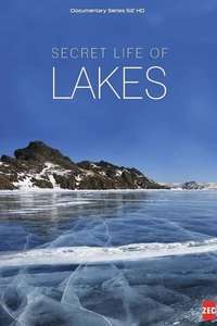Secret Life of Lakes - Poster