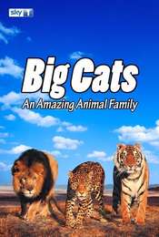 Big Cats: An Amazing Animal Family