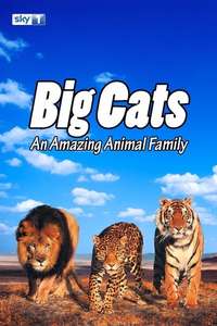 Big Cats: An Amazing Animal Family - Poster