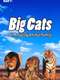 Big Cats: An Amazing Animal Family