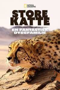 Big Cats: An Amazing Animal Family - Poster