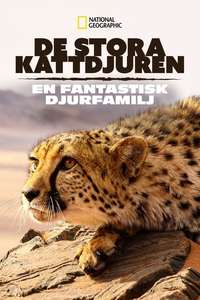 Big Cats: An Amazing Animal Family - Poster