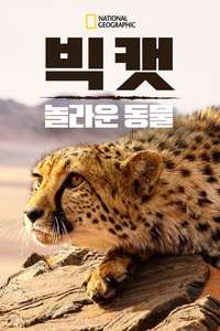 Big Cats: An Amazing Animal Family - Poster