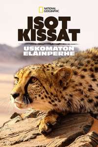 Big Cats: An Amazing Animal Family - Poster
