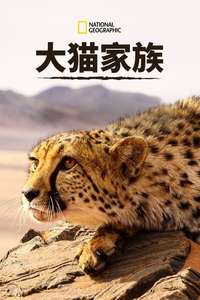 Big Cats: An Amazing Animal Family - Poster
