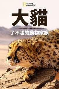 Big Cats: An Amazing Animal Family - Poster