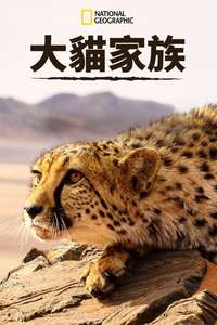 Big Cats: An Amazing Animal Family - Poster