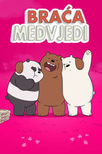 We Bare Bears - Posters