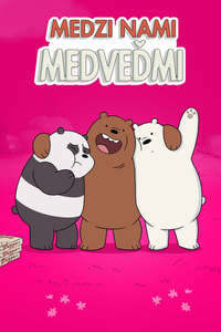 We Bare Bears - Posters
