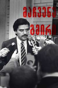 Show Me a Hero - Posters