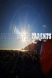 Animal Super Parents - Poster