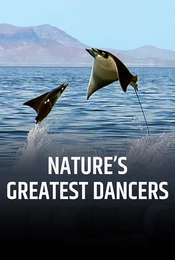 Nature's Greatest Dancers