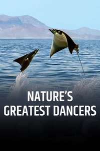 Nature's Greatest Dancers - Poster