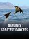 Nature's Greatest Dancers