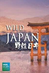Japan: Earth's Enchanted Islands - Posters