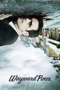 Wayward Pines - Posters