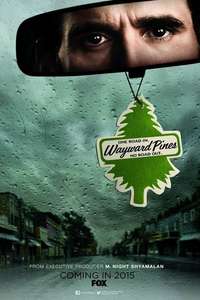 Wayward Pines - Posters