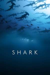 Shark - Posters